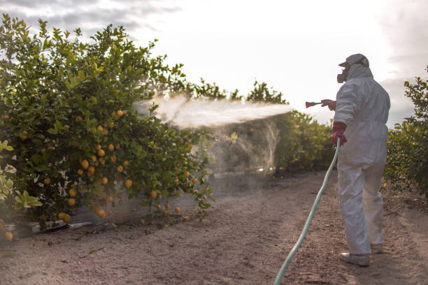 Best Mosquito Control Services  in La Plata, NM